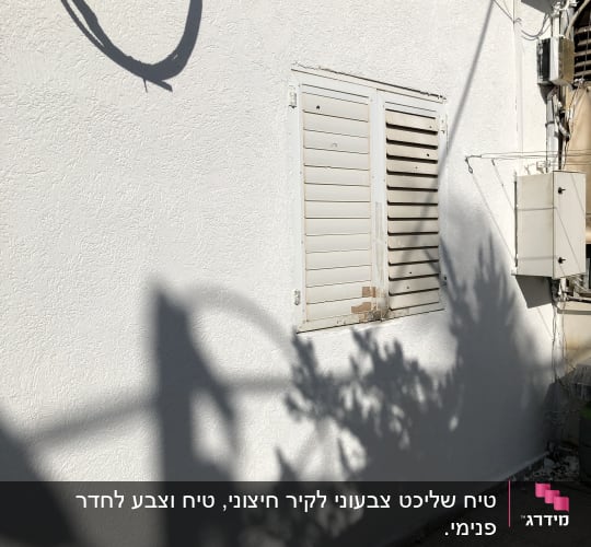 צל של צמח על קיר לבן עם תריסים